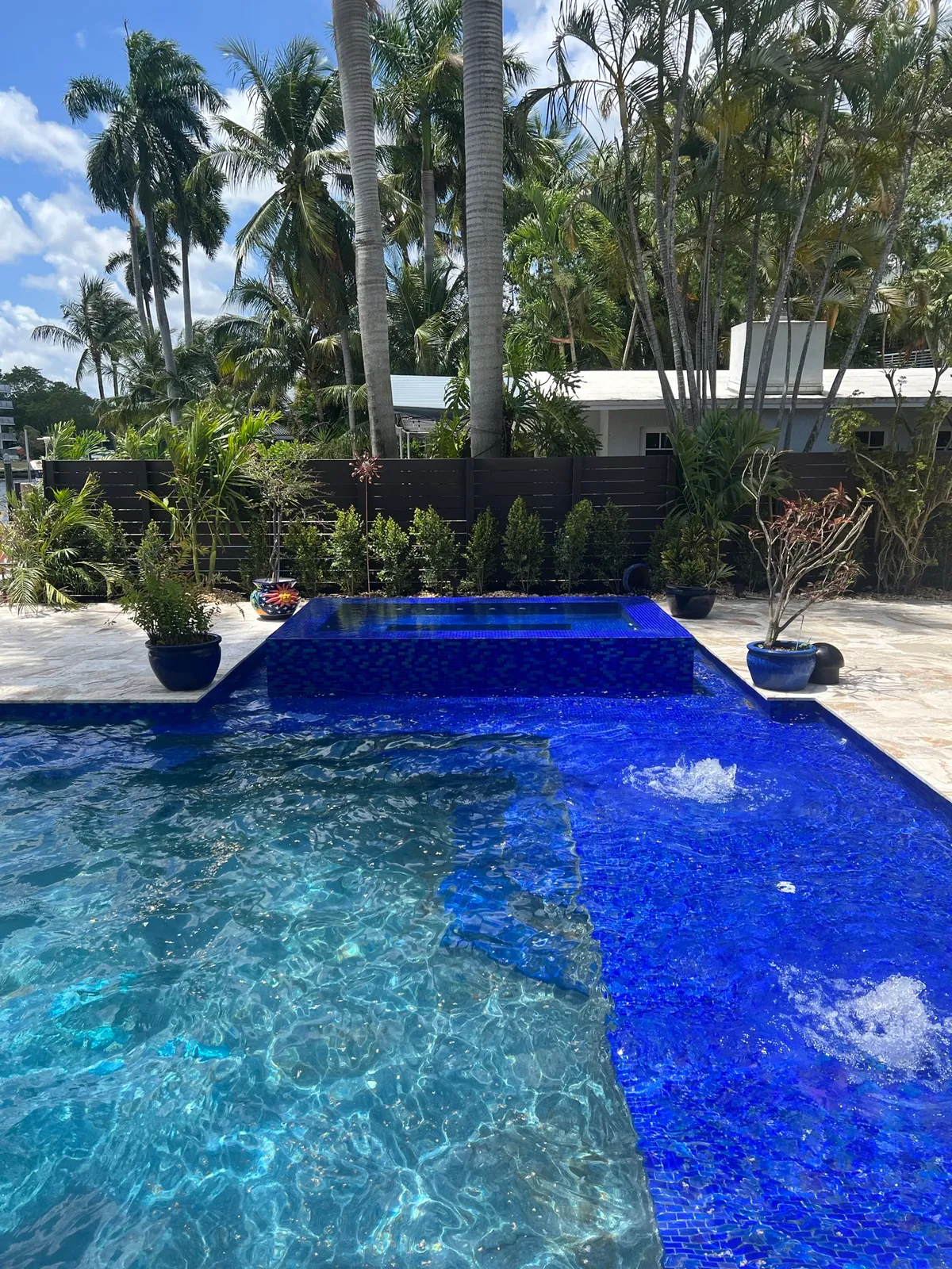 Pool with cobalt glass mosaic sun shelf, two bubblers and a raised tiled spa framed by royal palms.