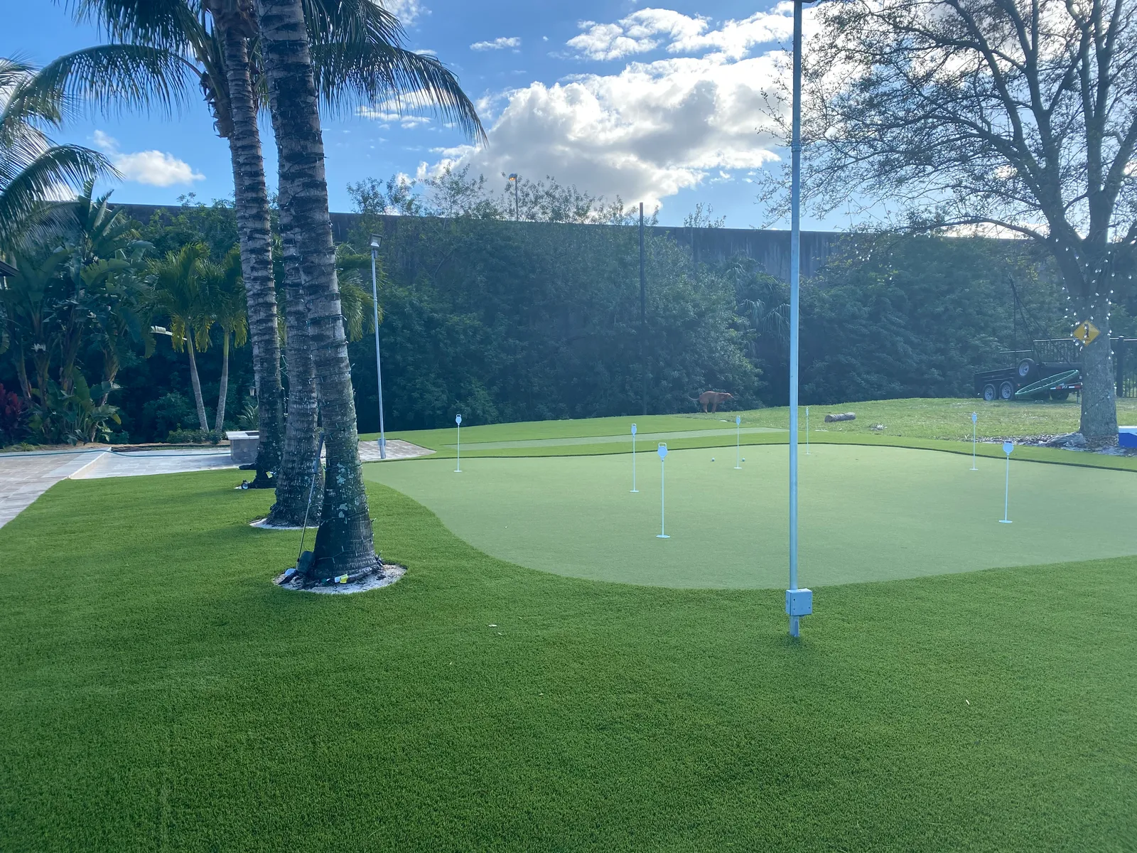 Large backyard putting green with nine flags surrounded by artificial turf and coconut palms.