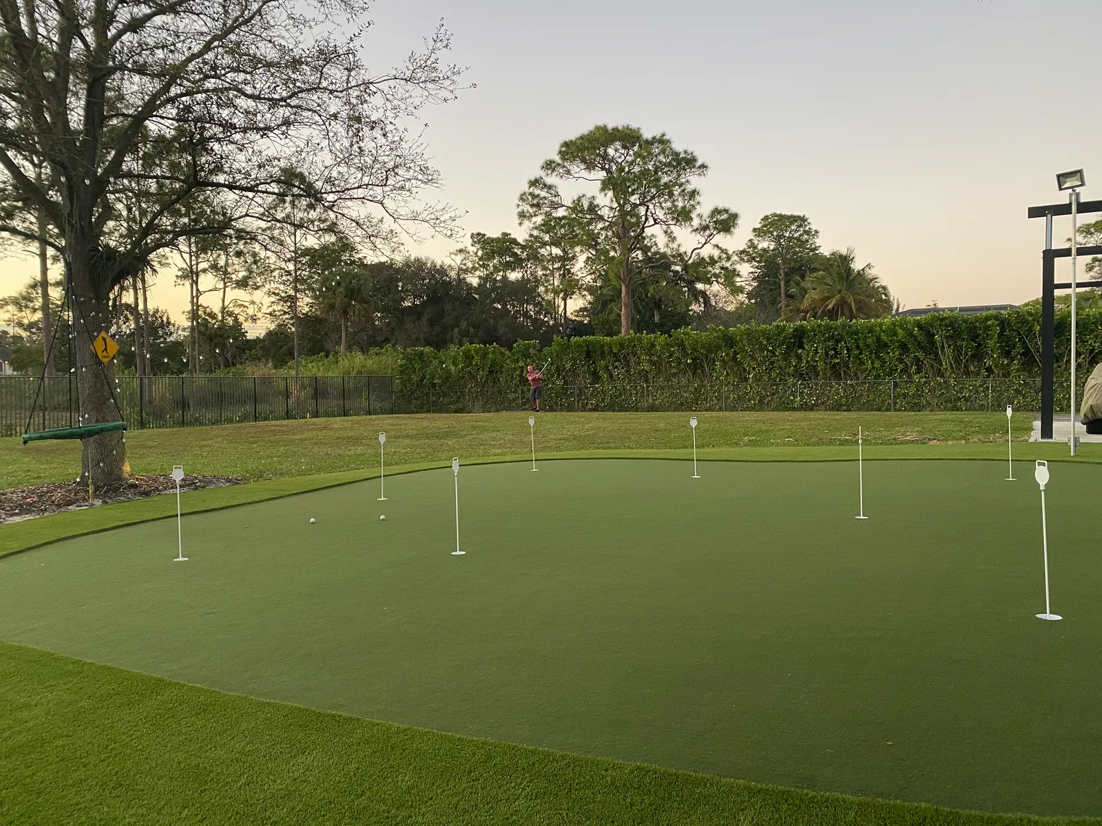 Large artificial turf putting green with white flags at sunset, pines and hedge behind.