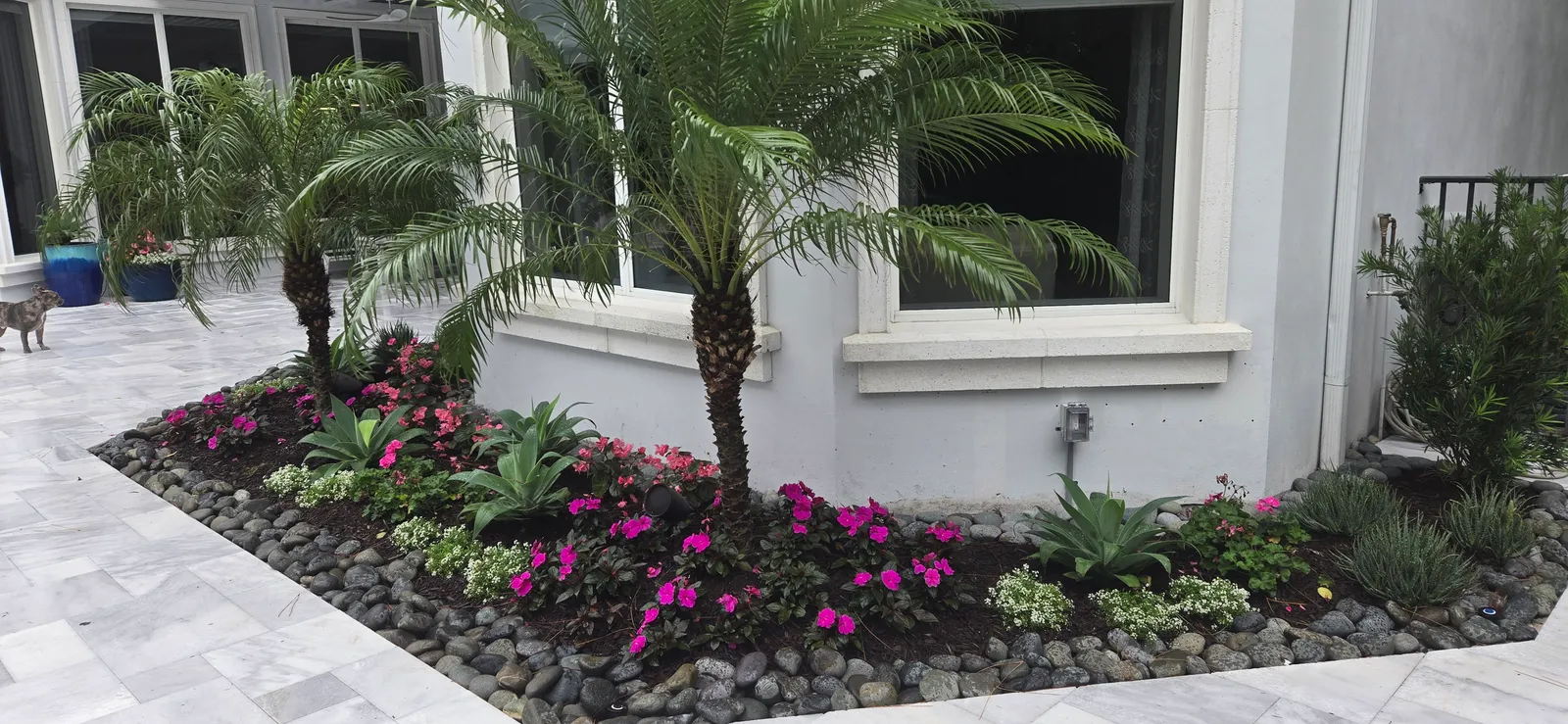 Planting bed with pygmy date palms, agaves and pink impatiens edged in river rock.
