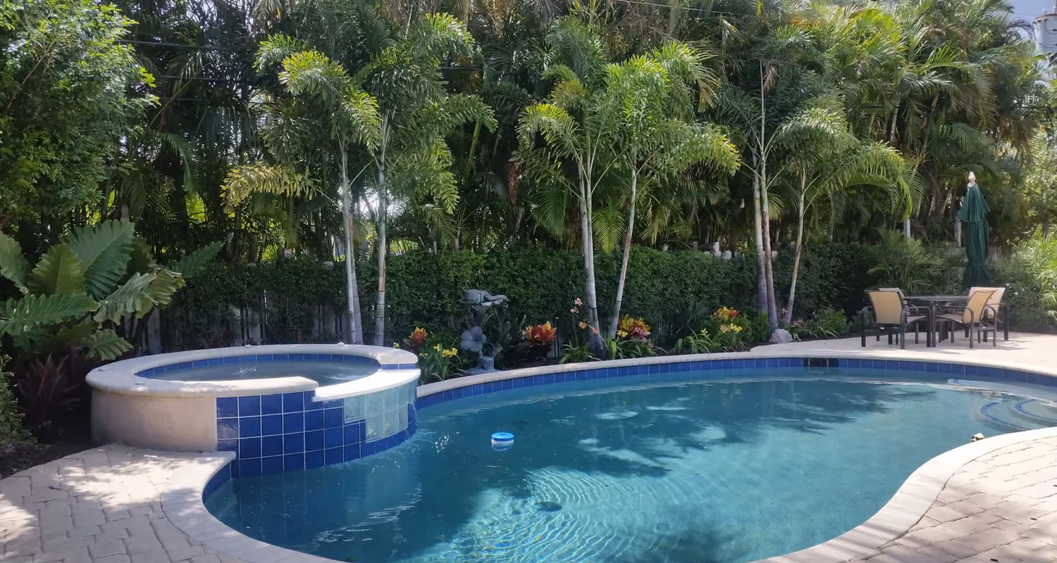 Kidney-shaped pool with raised spa backed by foxtail palms, a hedge and tropical flower beds.