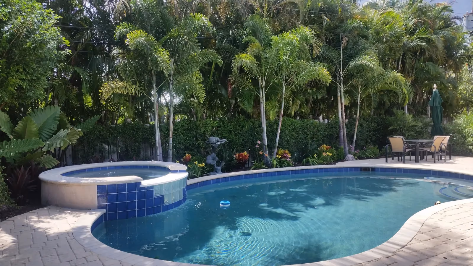 Kidney-shaped pool with raised spa backed by foxtail palms, a hedge and tropical flower beds.