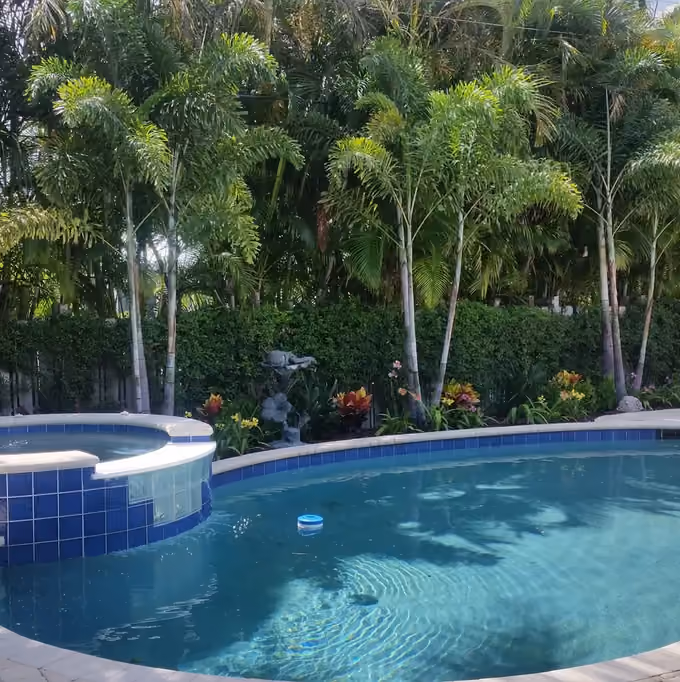 Kidney-shaped pool with raised spa backed by foxtail palms, a hedge and tropical flower beds.